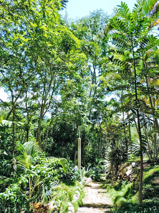 Yacumaman Sanctuary Villa Tarapoto Buitenkant foto