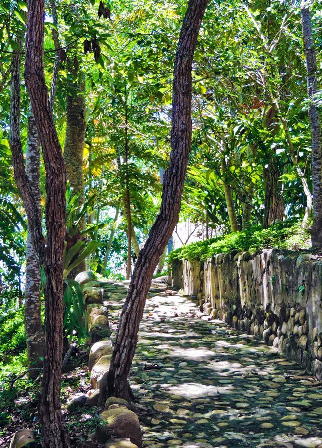 Yacumaman Sanctuary Villa Tarapoto Buitenkant foto