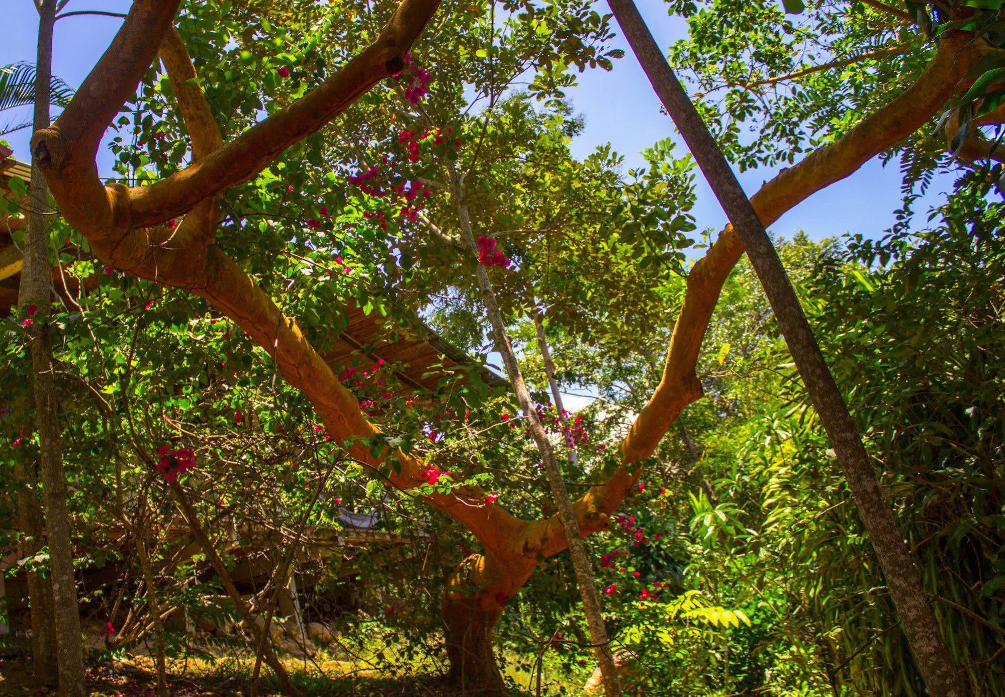 Yacumaman Sanctuary Villa Tarapoto Buitenkant foto