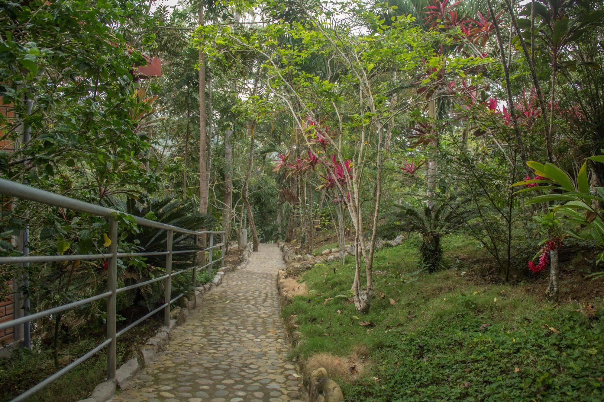 Yacumaman Sanctuary Villa Tarapoto Buitenkant foto