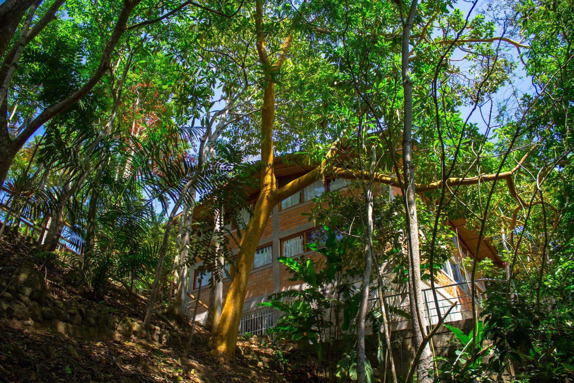 Yacumaman Sanctuary Villa Tarapoto Buitenkant foto